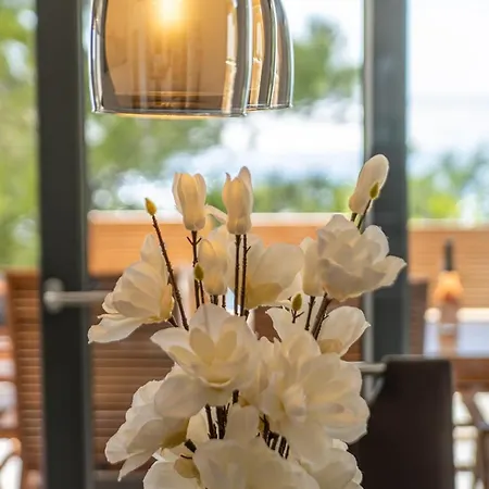 Villa Poseidon Starigrad Paklenica